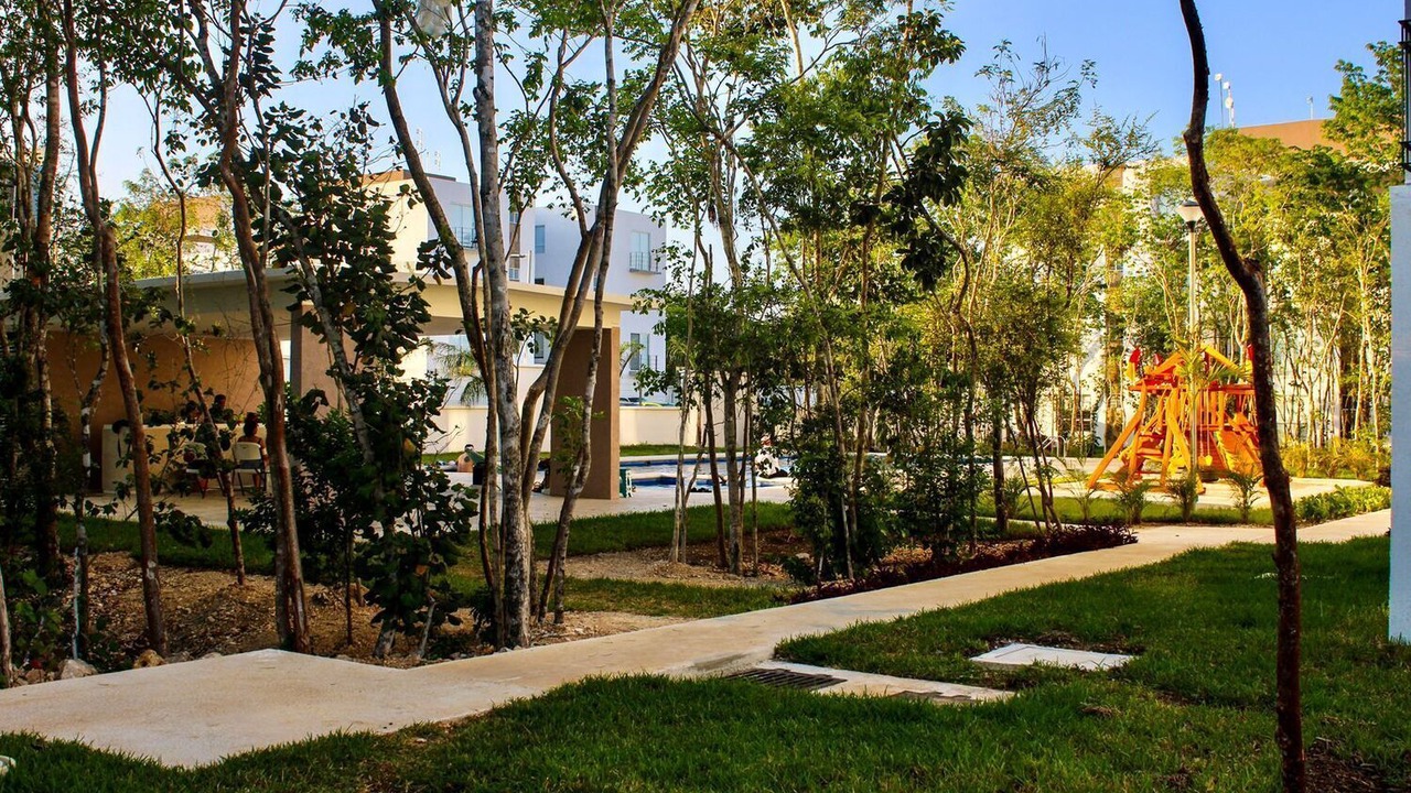 Photo of Outdoor in Puerto Juarez