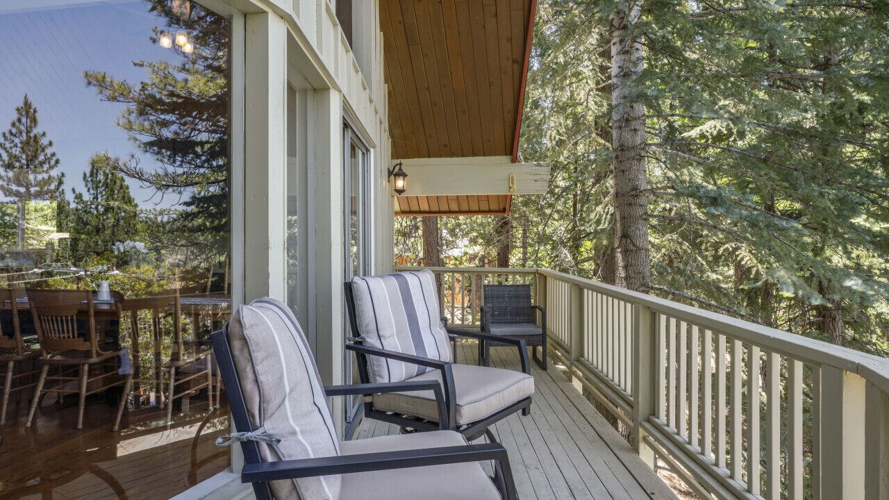 Photo of Others in Blue Jay