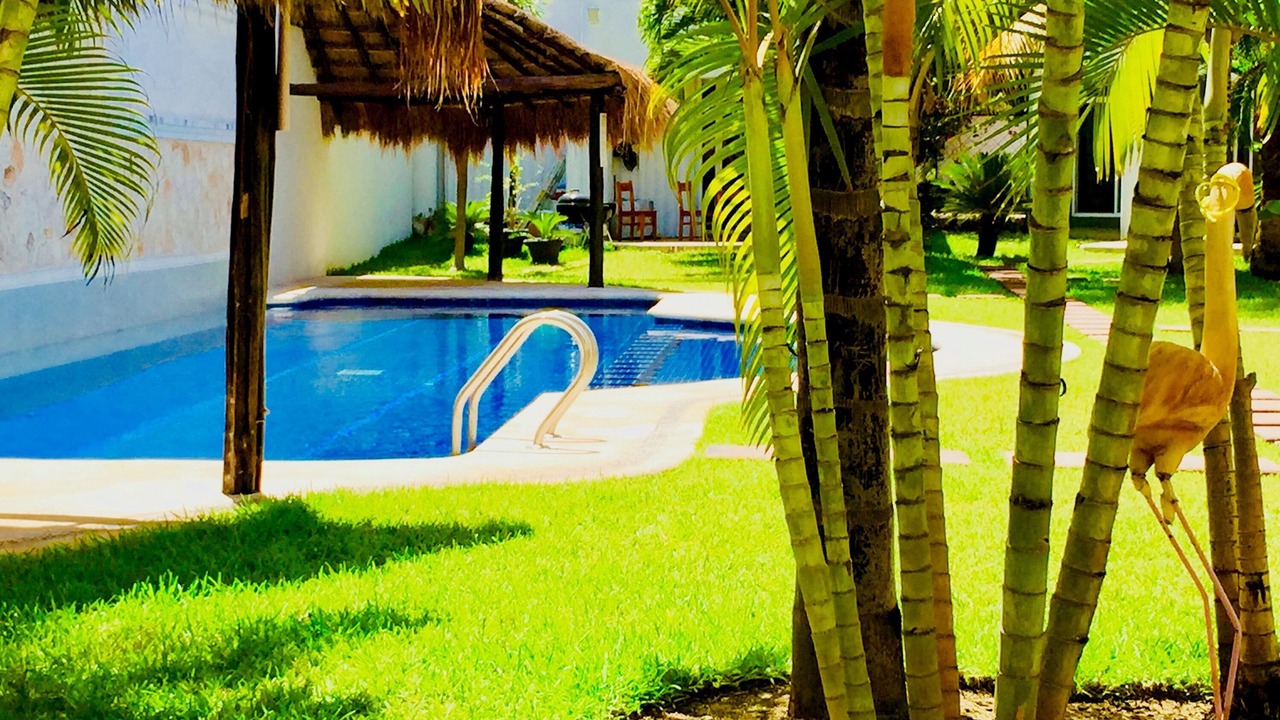 Photo of Outdoor in Playacar