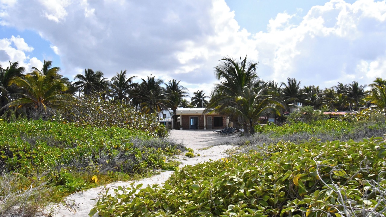 Photo of Others in El Cuyo