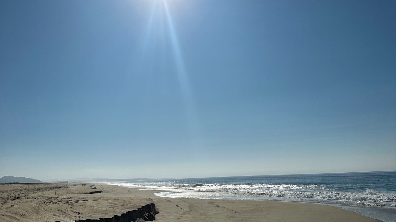 Photo of Others in Puerto Escondido
