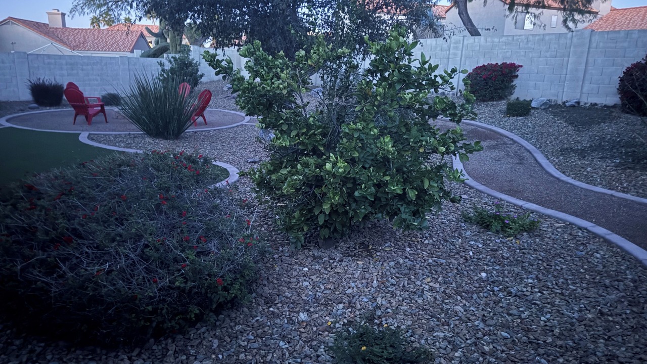 Photo of Outdoor in Lakewood