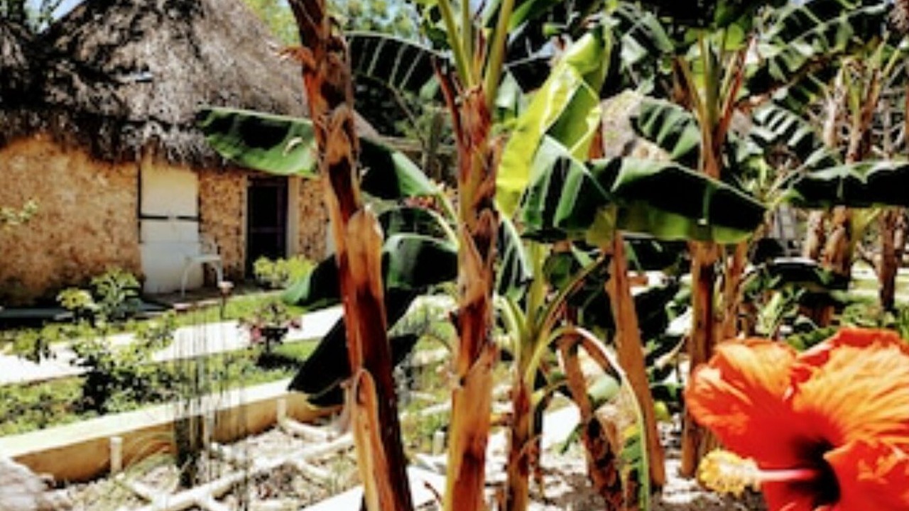 Photo of Outdoor in Izamal