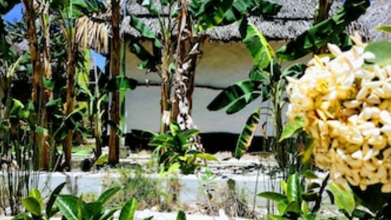 Photo of Outdoor in Izamal