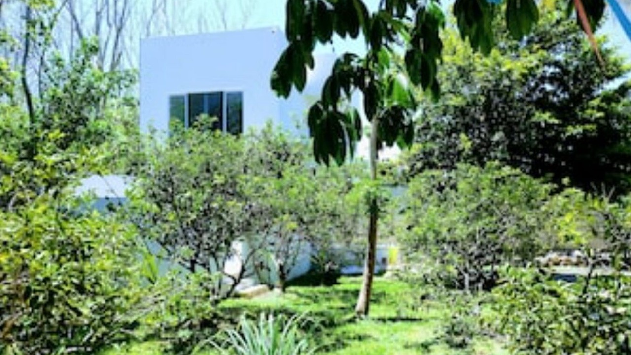 Photo of Outdoor in Izamal