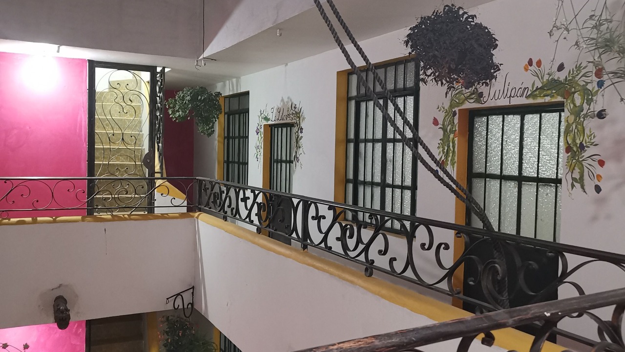 Photo of Others in Guadalajara