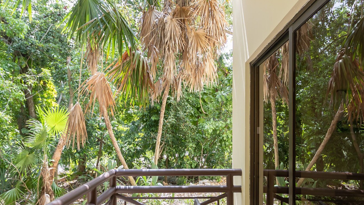 Photo of Patio Balcony in Puerto Juarez