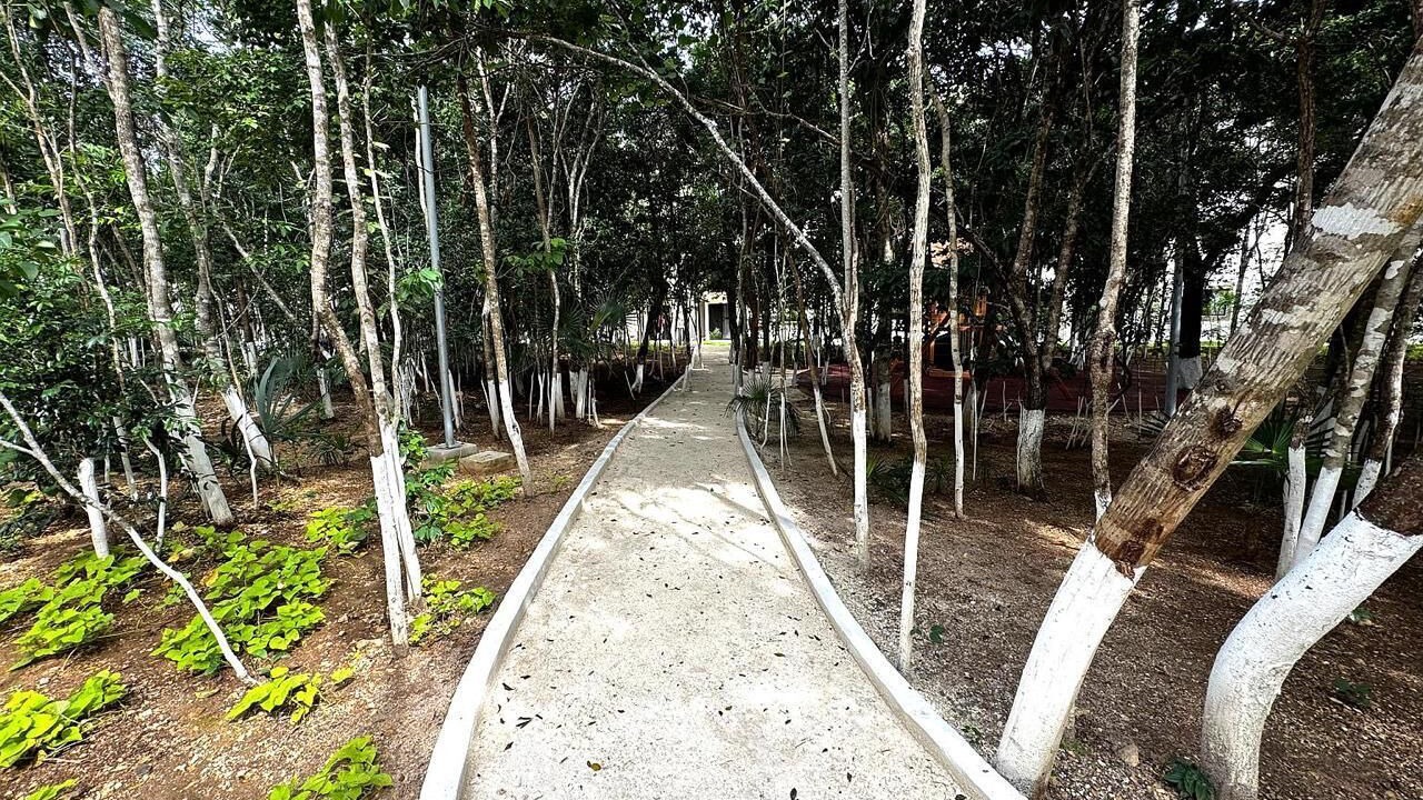 Photo of Outdoor in Puerto Juarez