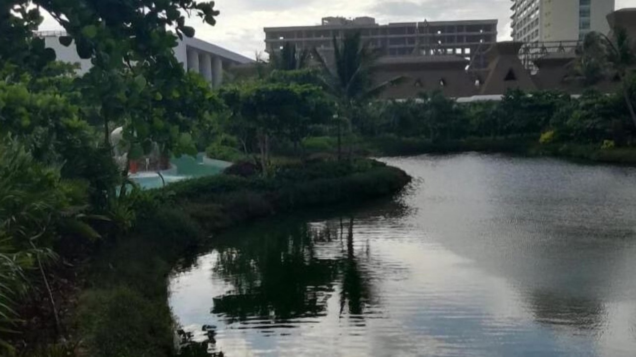 Photo of Outdoor in Playa Diamante