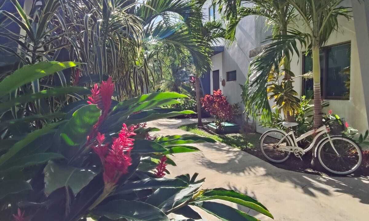 Photo of Outdoor in Villa Juarez