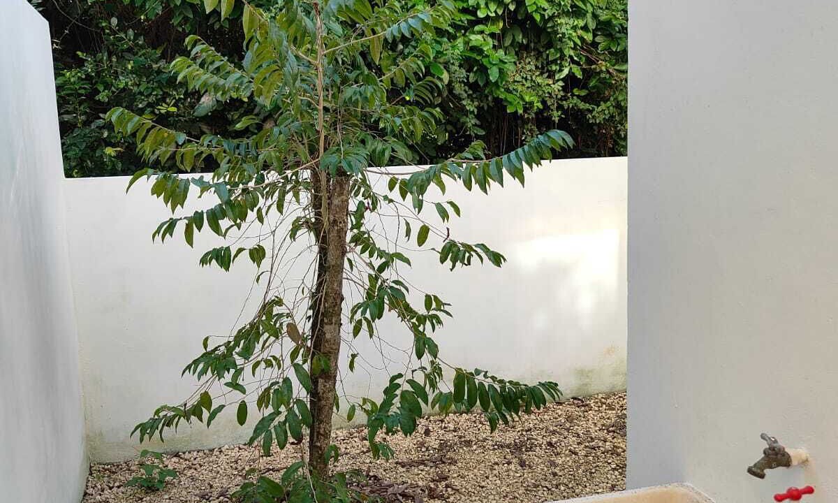 Photo of Outdoor in Villa Juarez