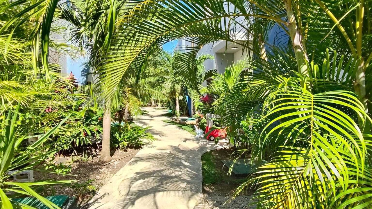 Photo of Outdoor in Villa Juarez