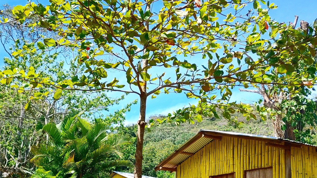 Photo of Outdoor in Catemaco