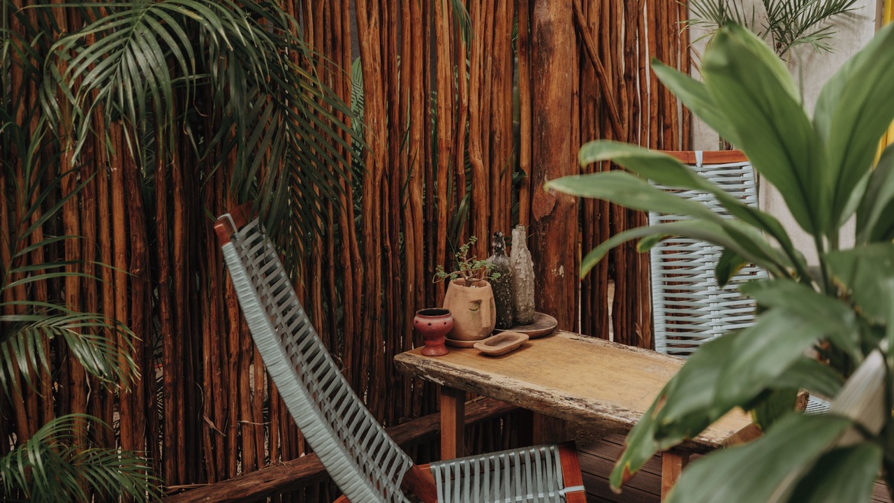 Photo of Outdoor in Zona Paseo Montejo