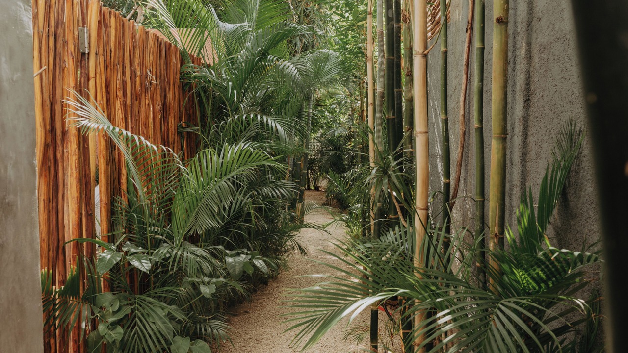 Photo of Outdoor in Zona Paseo Montejo