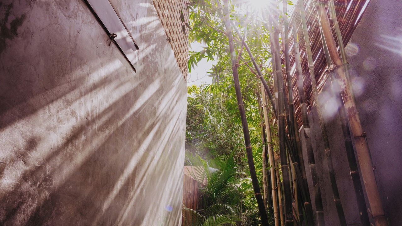 Photo of Outdoor in Zona Paseo Montejo