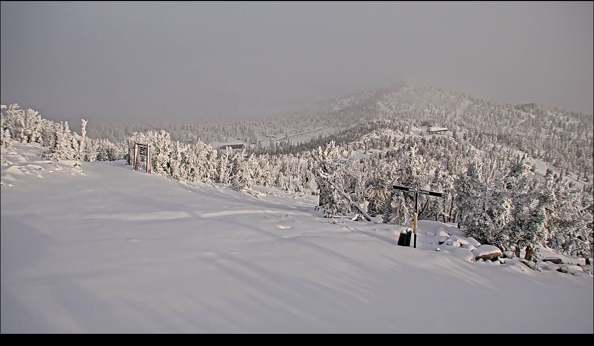 Photo of Others in Tahoe Village