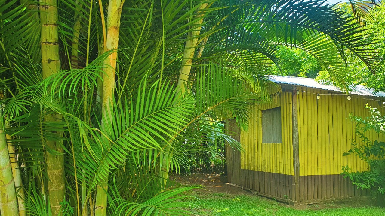 Photo of Outdoor in Catemaco