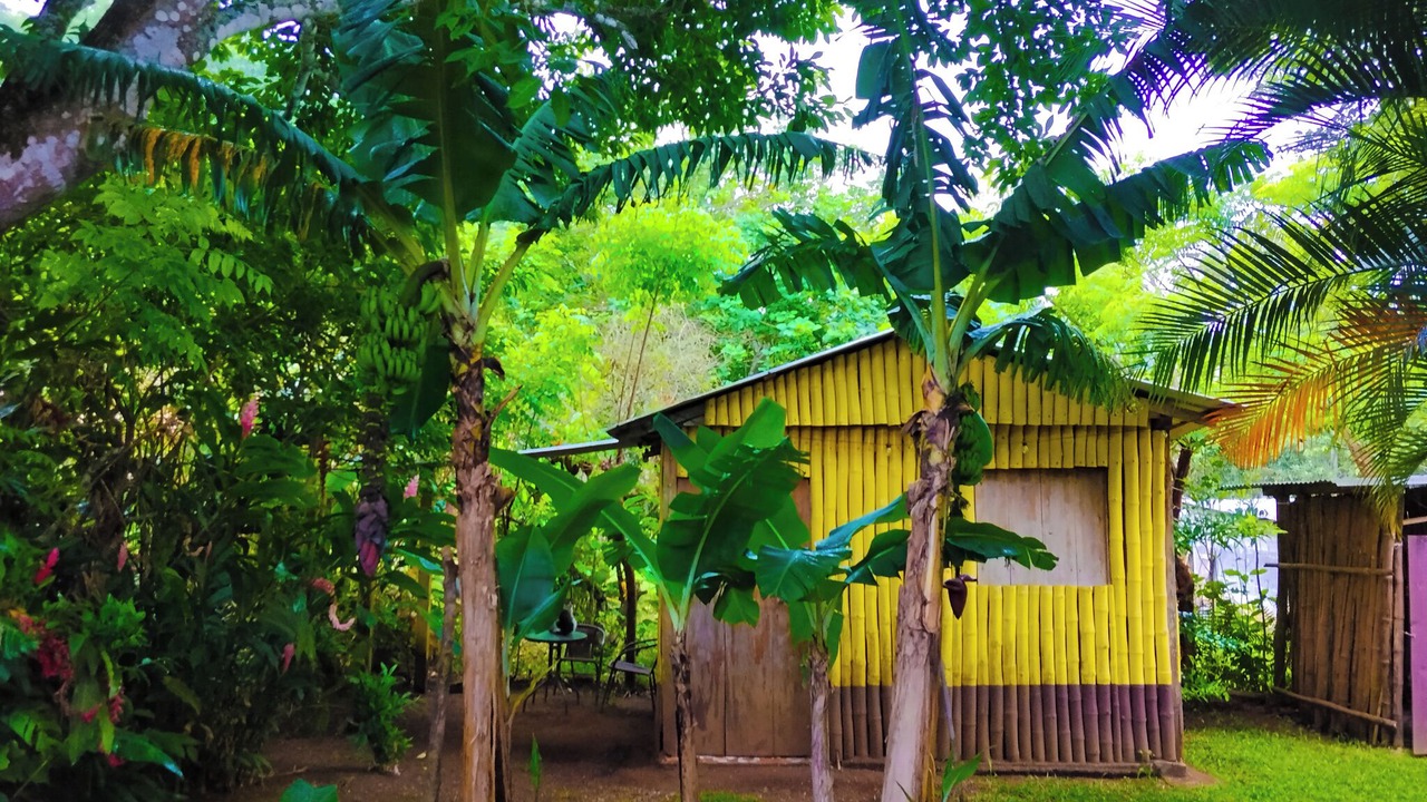 Photo of Outdoor in Catemaco