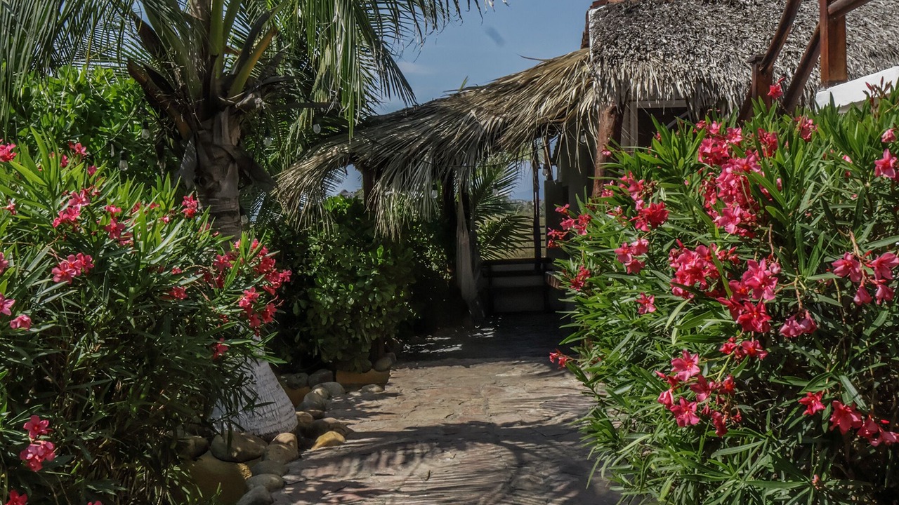 Photo of Outdoor in Puerto Escondido