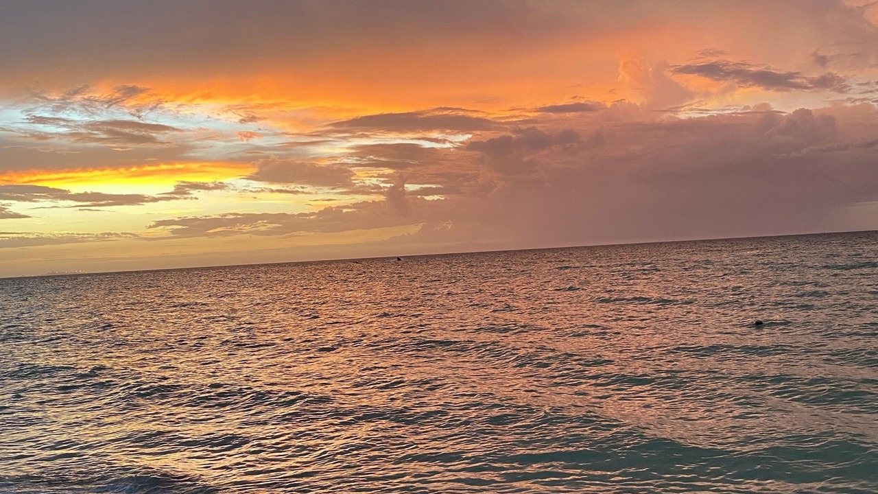 Photo of Others in Chicxulub Puerto