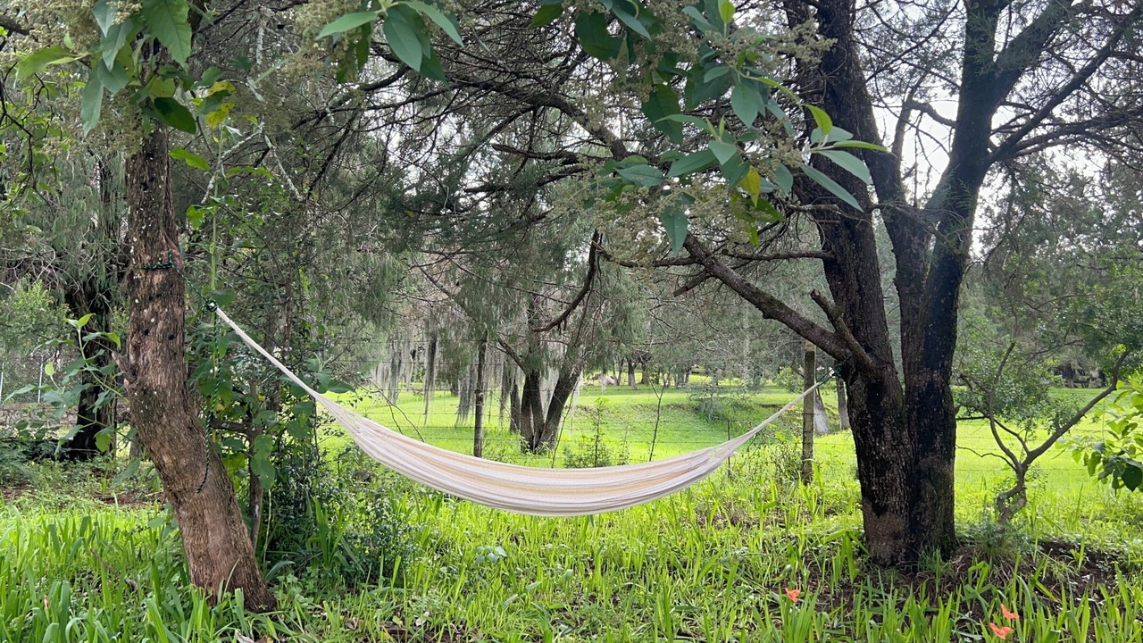 Photo of Others in Huasca De Ocampo