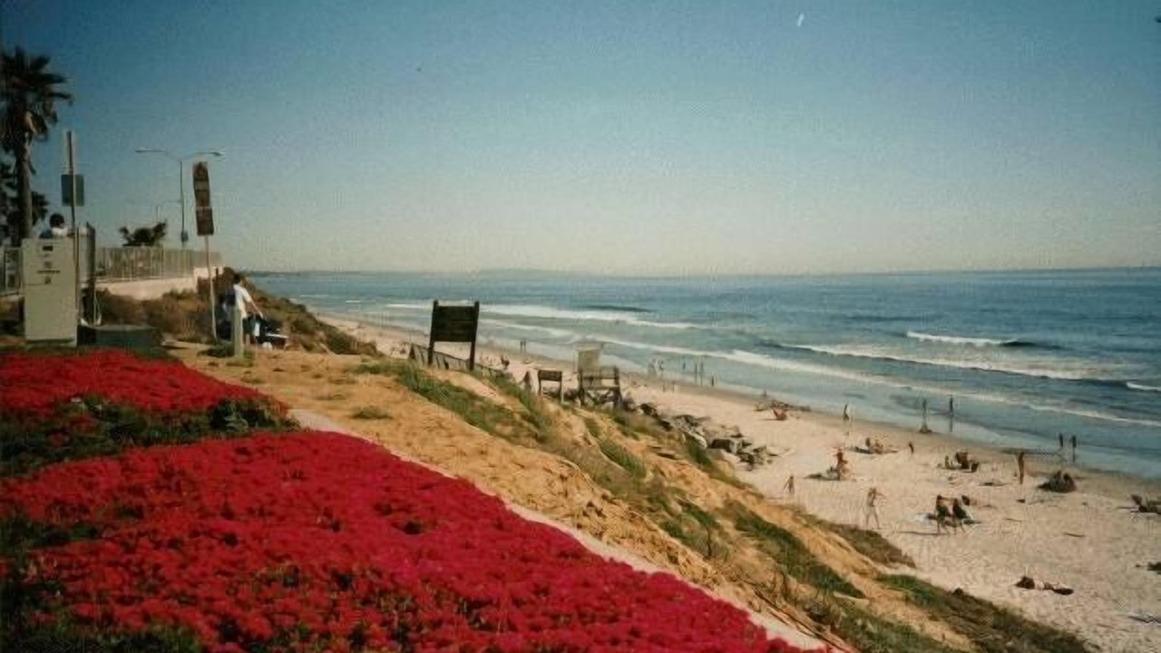Photo of Others in Carlsbad Village