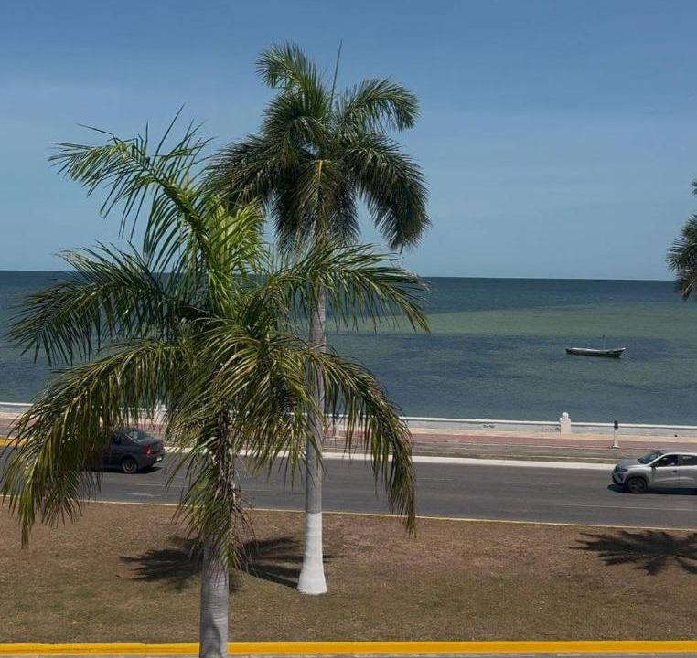 Photo of Others in Campeche