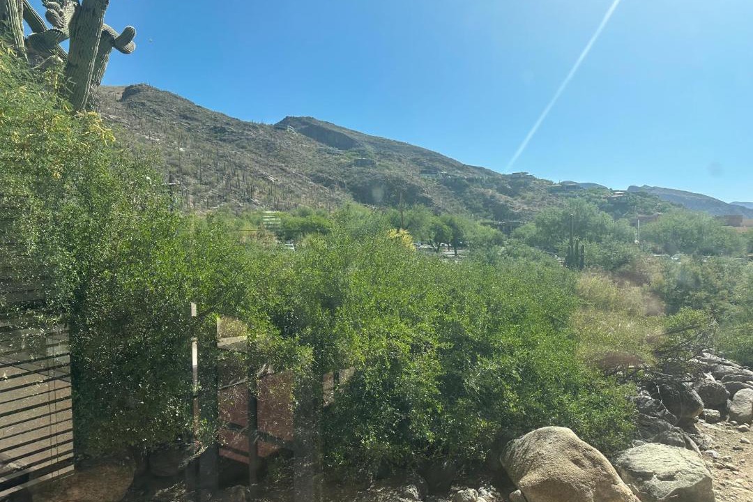 Photo of Others in Tucson