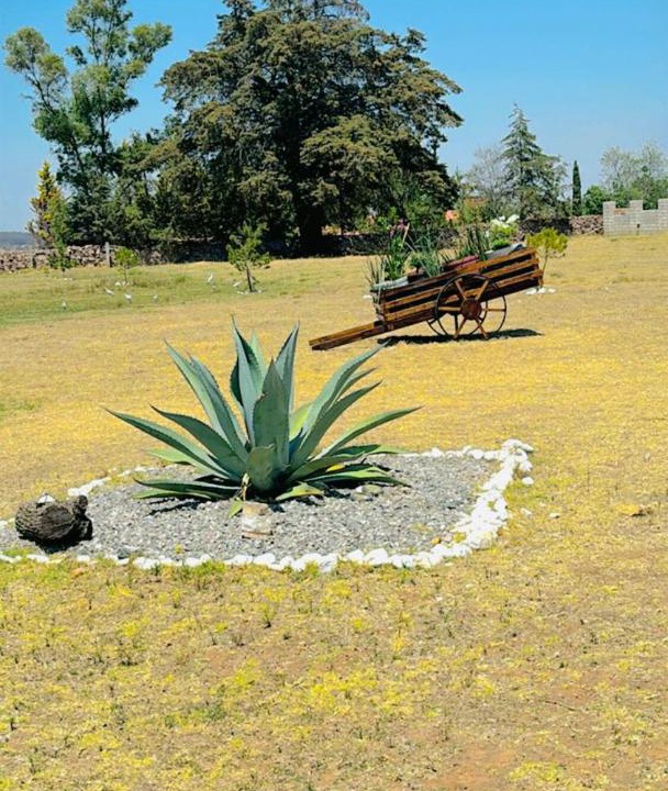 Photo of Others in Amealco