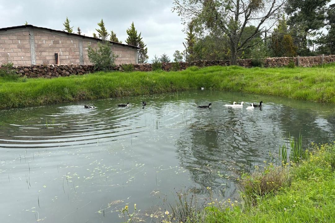 Photo of Others in Amealco