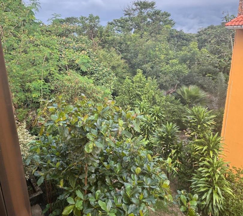 Photo of Others in Palenque