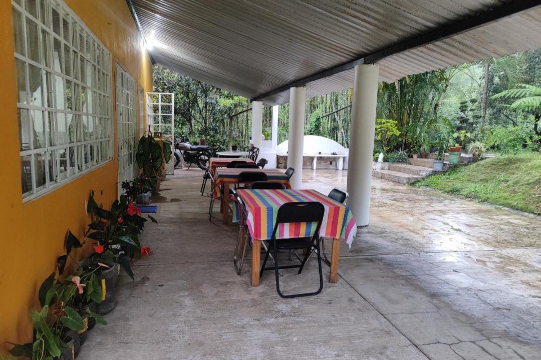 Photo of Others in Xico