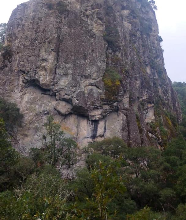 Photo of Others in Mineral del Chico