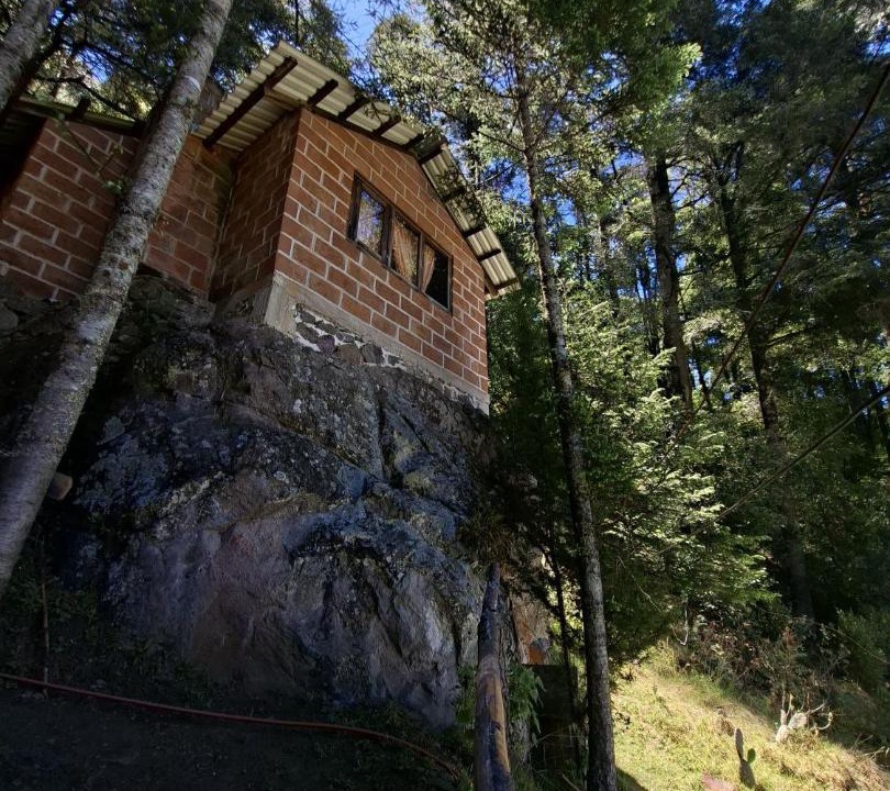 Photo of Others in Mineral del Chico