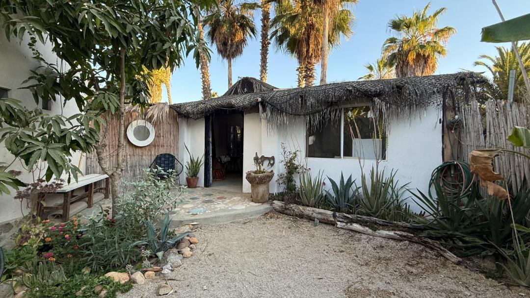 Photo of Others in Todos Santos