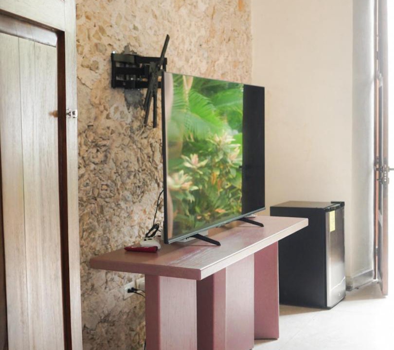 Photo of Livingroom in Centro