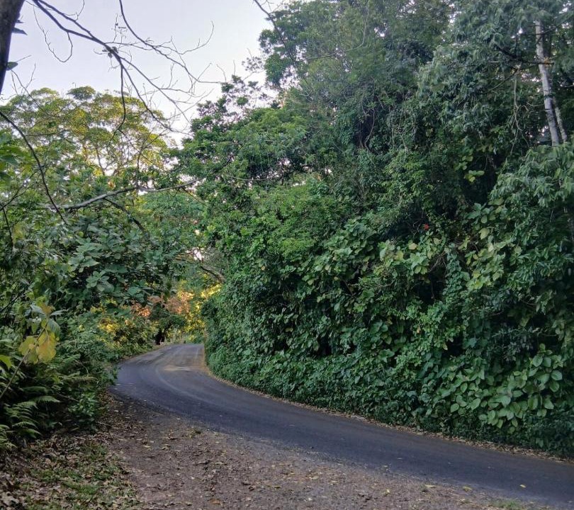 Photo of Outdoor in Catemaco