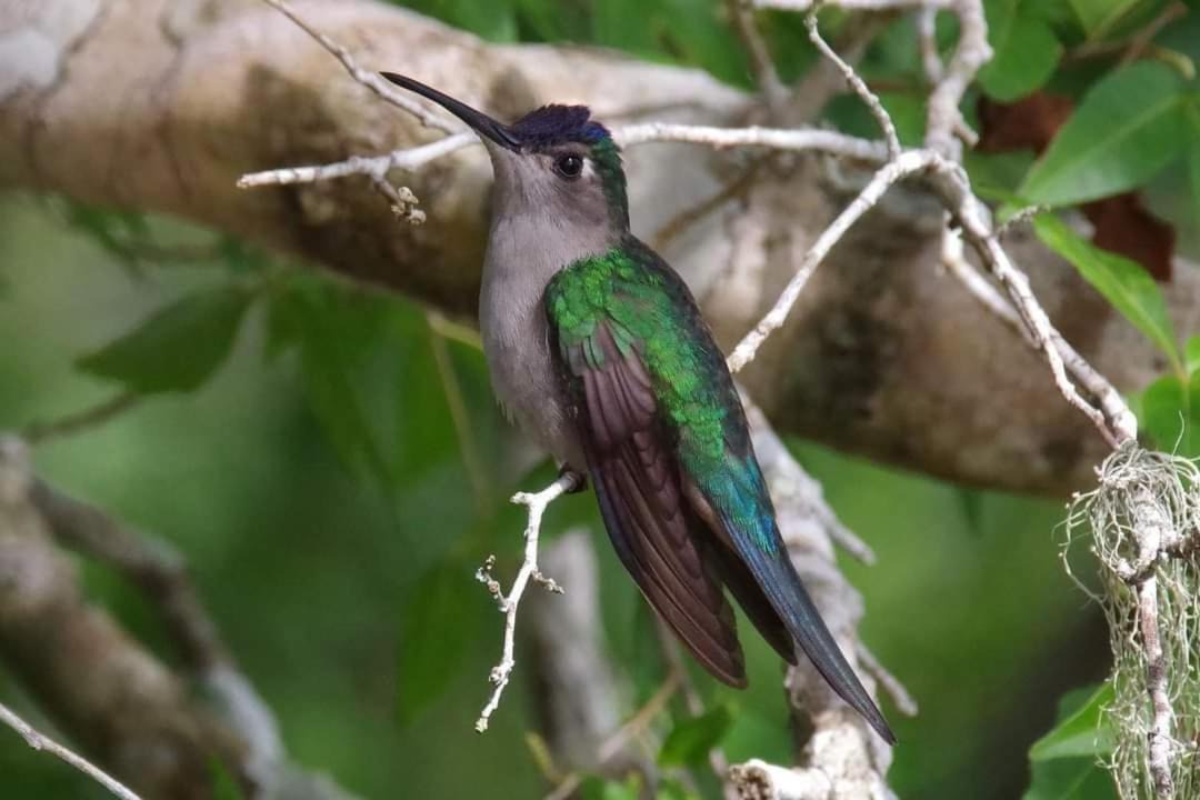 Photo of Others in Catemaco