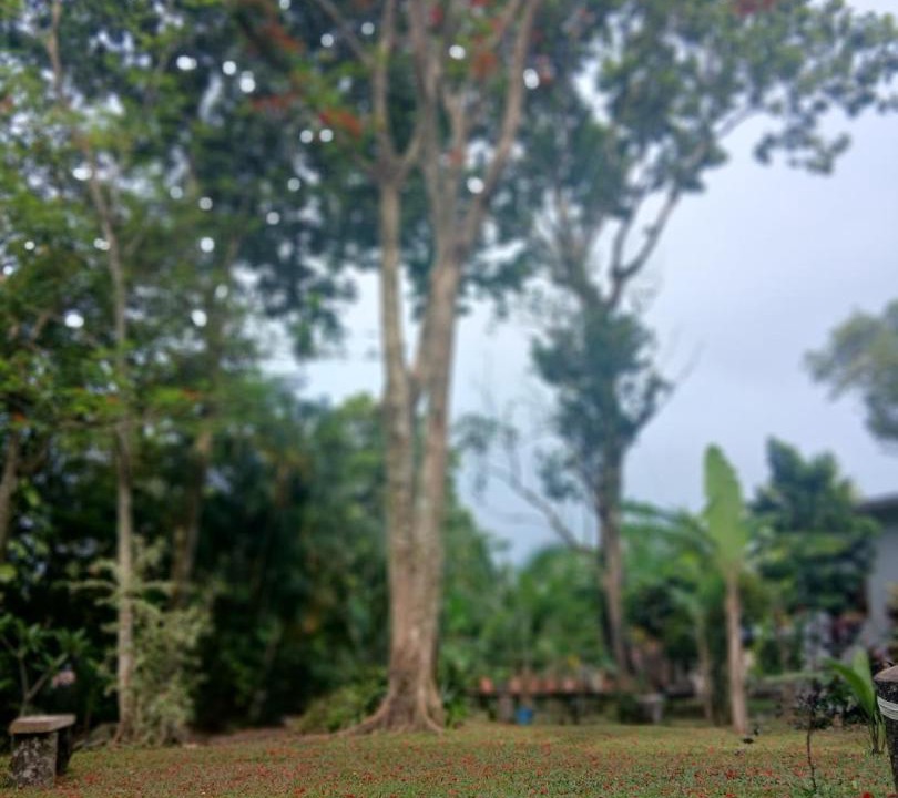 Photo of Others in Catemaco