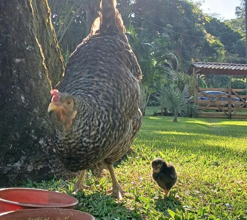 Photo of Others in Catemaco