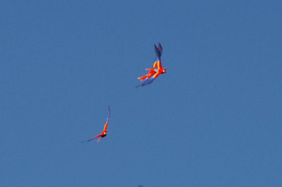 Photo of Others in Catemaco
