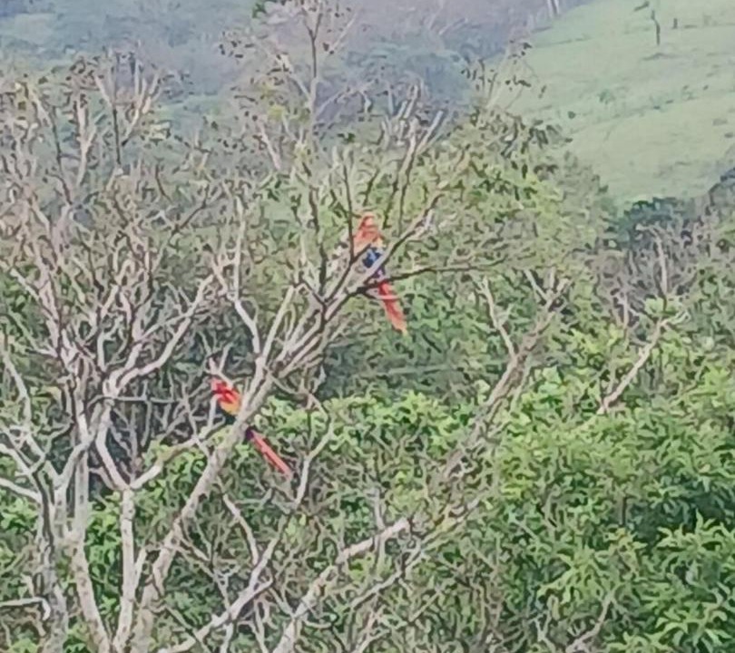 Photo of Others in Catemaco