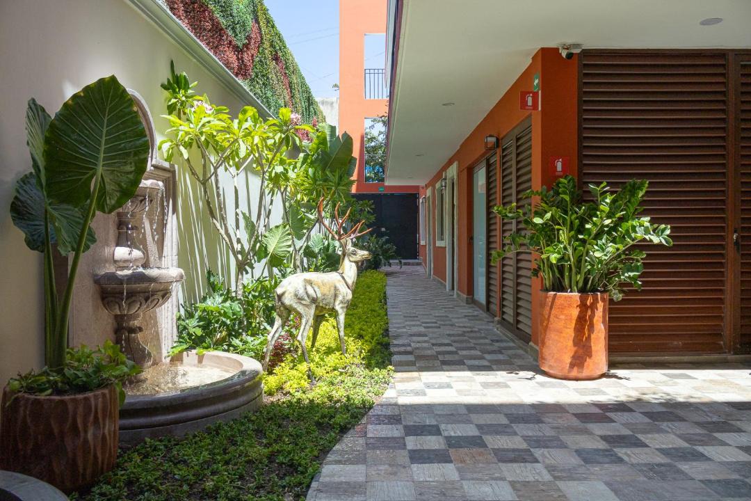 Photo of Others in Zapopan