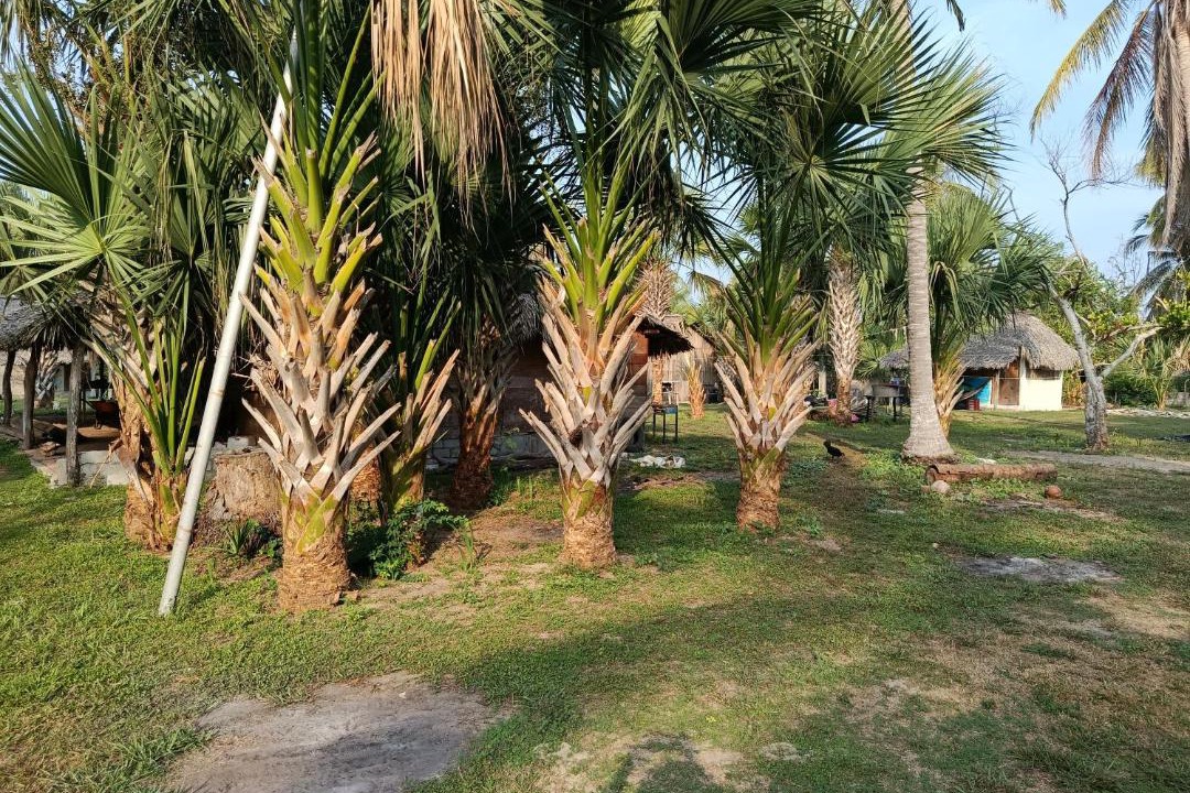 Photo of Others in El Azufre