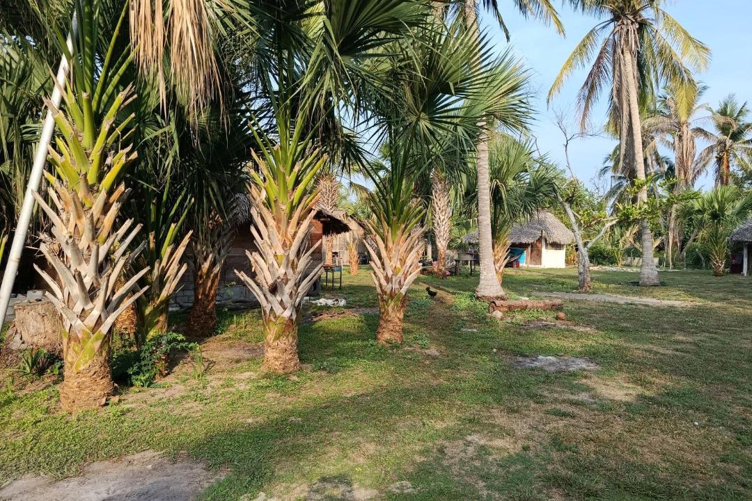 Photo of Others in El Azufre