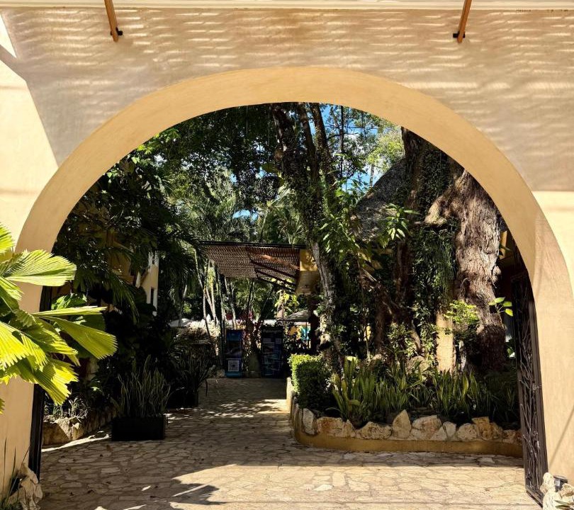 Photo of Others in Palenque