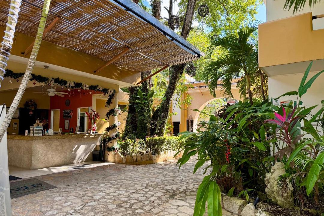 Photo of Others in Palenque
