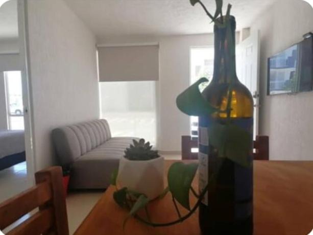 Photo of Others in Queretaro