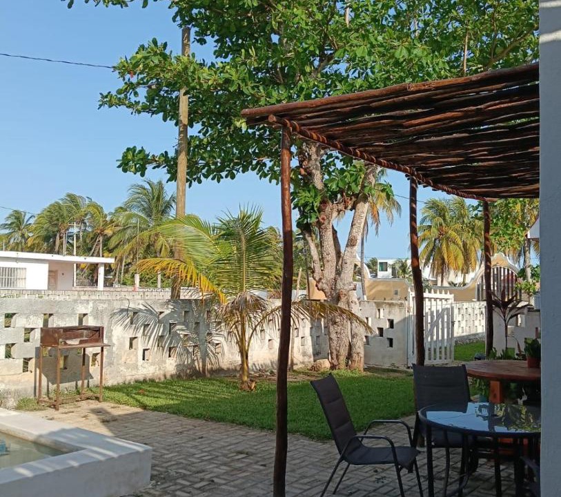 Photo of Others in Sisal